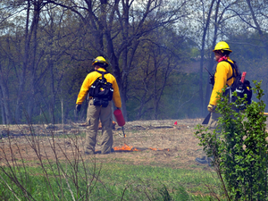 a prescribed fire