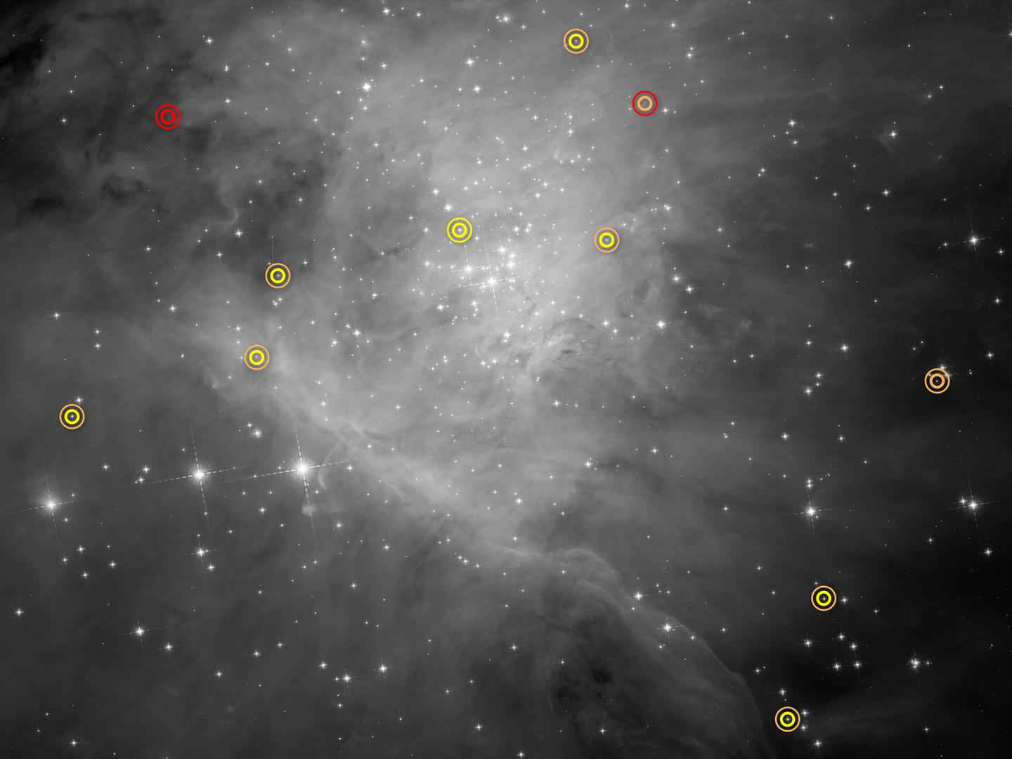 Brown Dwarfs in Orion Nebula