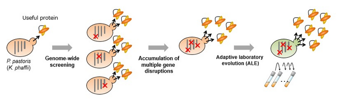 Figure 1: