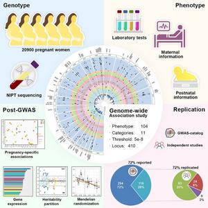 BGI Genomics Neonatal Metabolism Figure 3.