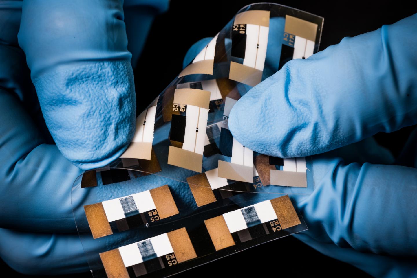 Ferroelectrochemistry