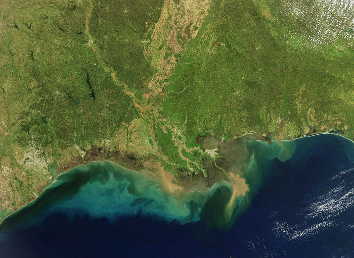 Mississippi river sediments