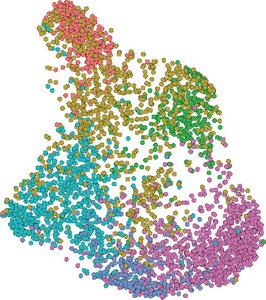 A map of CD8+ T cells, in different states, from primary and metastatic tumours by single cell RNA sequencing