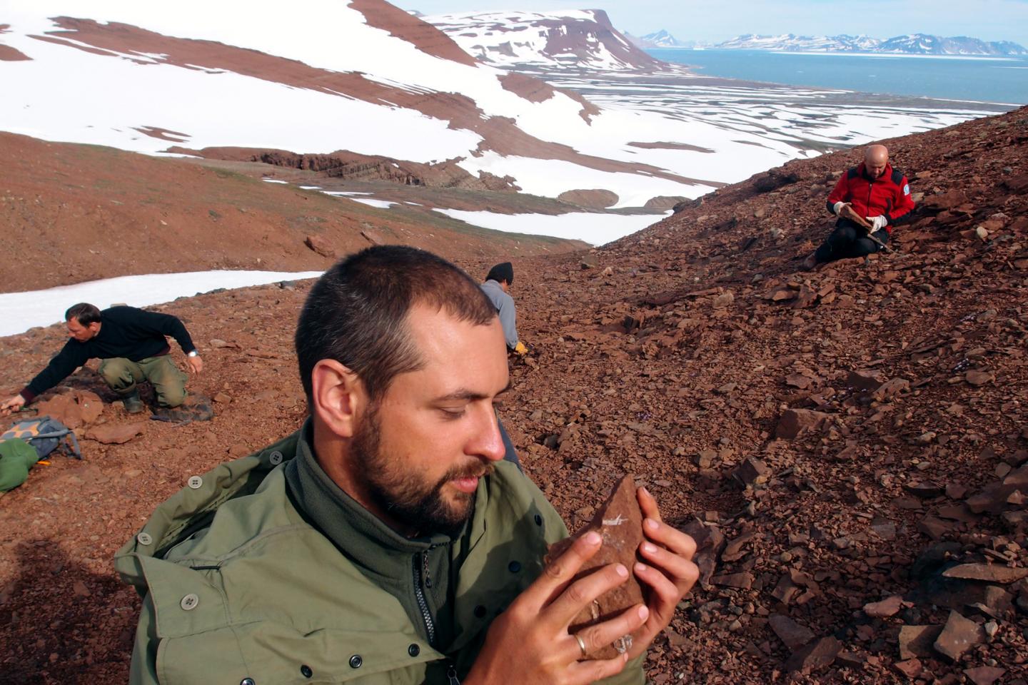 The Triassic strata exposed in East Greenland and a researcher holding a mammaliaform fossil.