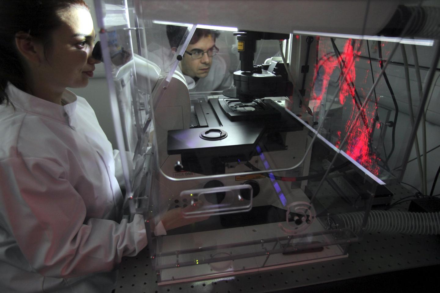 Mitochondria Shown to Trigger Cell Aging