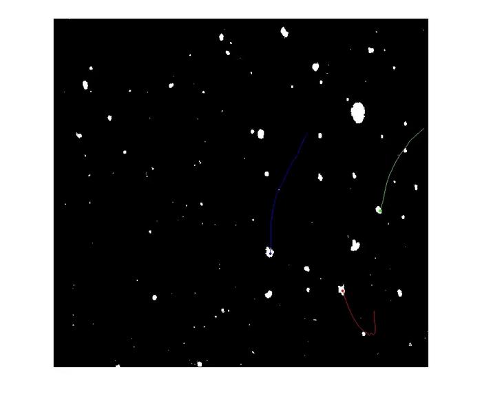 Snowflakes swirling in turbulent air