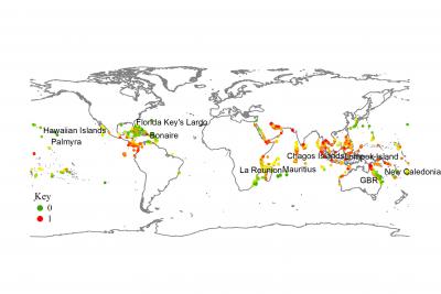 Coral Exposure Map