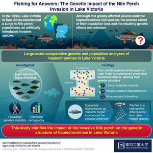 Fishing for Answers: The Genetic Impact of the Nile Perch Invasion in Lake Victoria