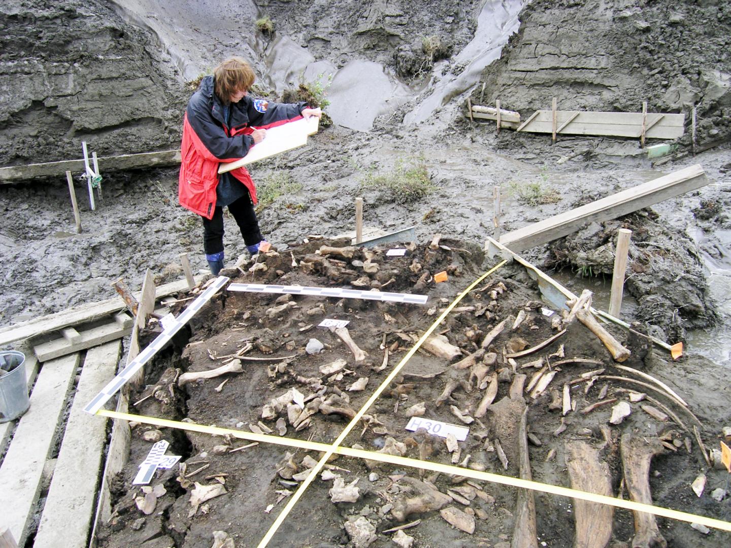 The Archaeological Site near the Yana River