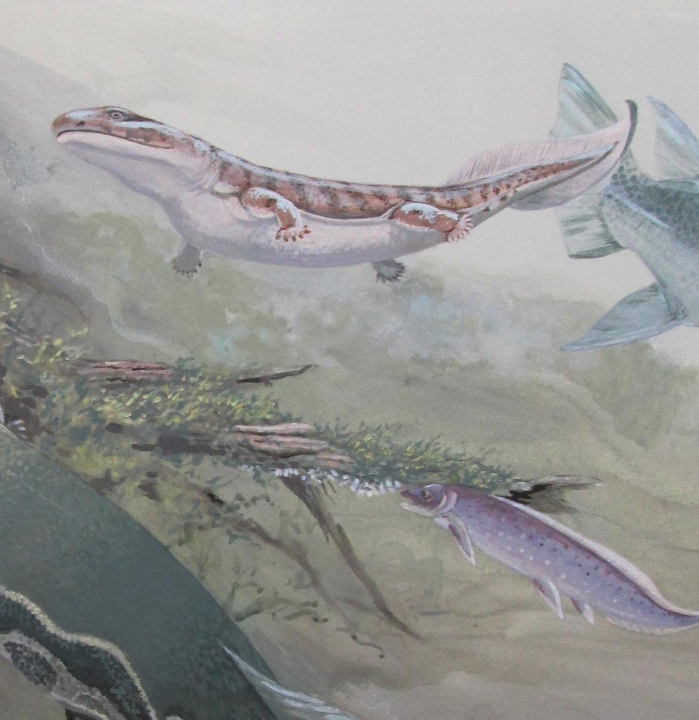 Fossil expands ancient fish family tree