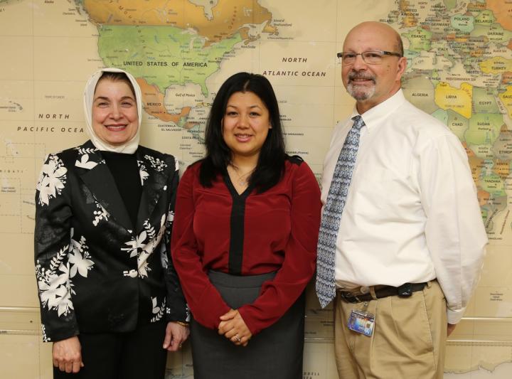 Research Investigators