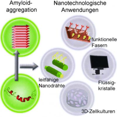Amyloid Applications