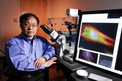 Gang Bao, Georgia Institute of Technology