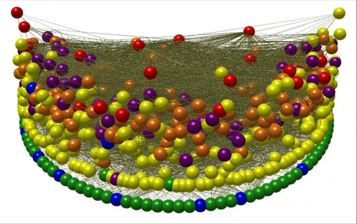 Sanak Nearshore Marine Food Web