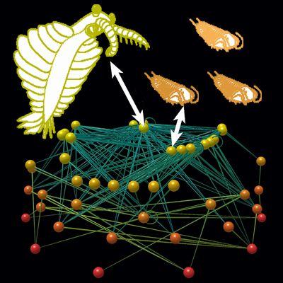 Ancient Ecosystems Organized Much Like Our Own