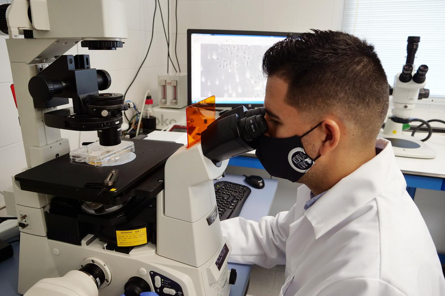 The researcher of the University of Malaga Juan Antonio Garcia-Leon