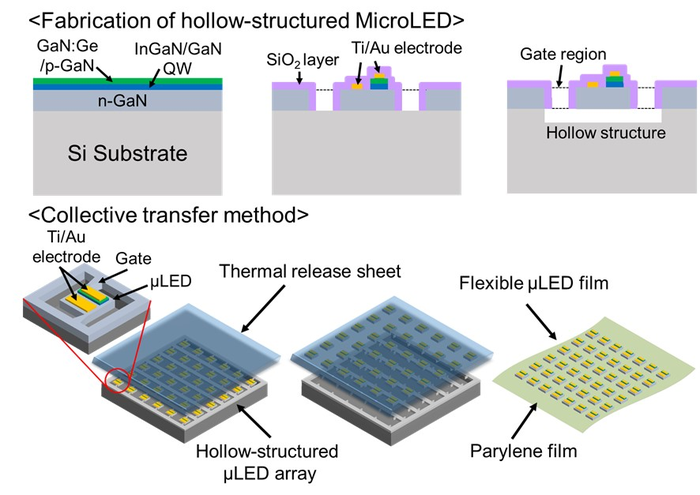 Fig. 1 Technology to fabricate a flexible microLED film