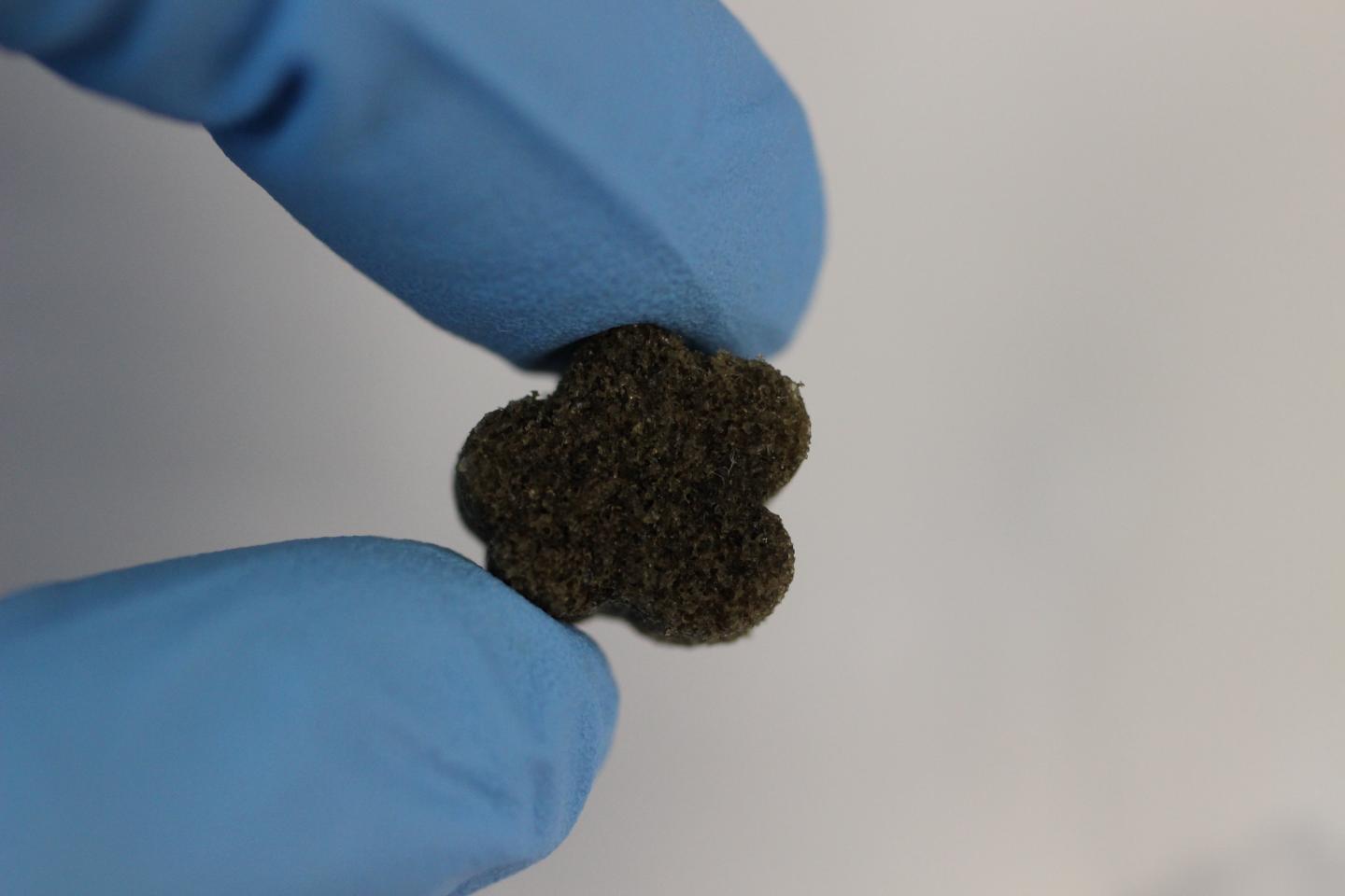 A Moldable Scaffold for Bone