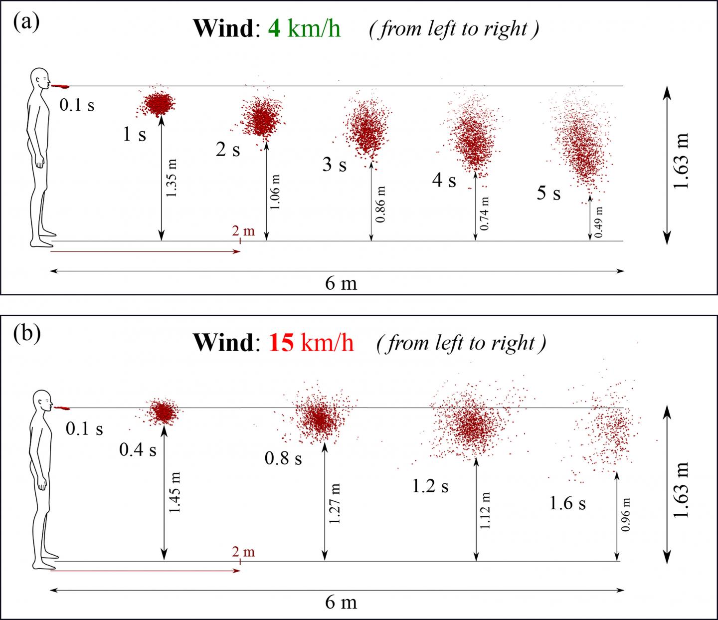 Saliva Droplets Can Travel Large Distances