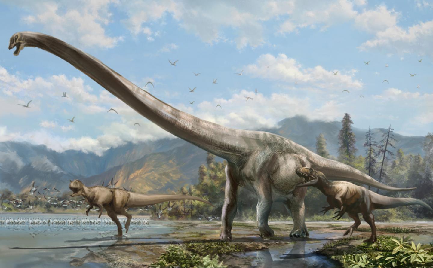 Reconstruction of the Long-Necked Dinosaur