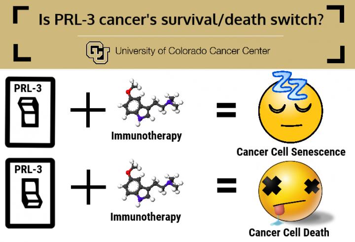 PRL-3 As Genetic Switch in Triple-Negative Breast Cancer