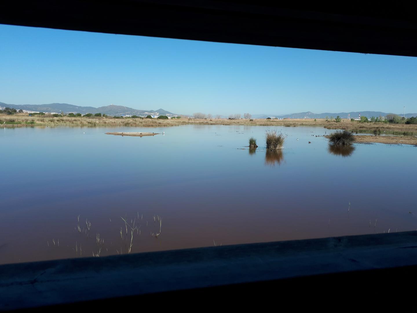 Llobregat Delta, in Barcelona