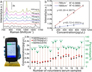 Novel Surface-enhanced Raman Spectroscopy Method Realizes the Quantitative Detection of Anticancer Drugs in Serum