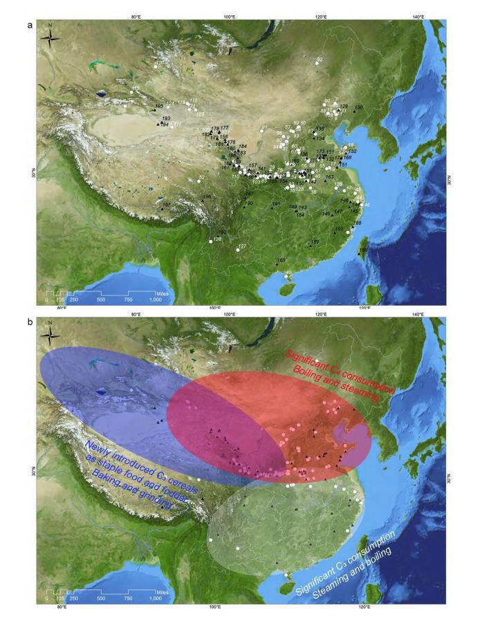 The long and complex history of cereal cuisine in ancient China