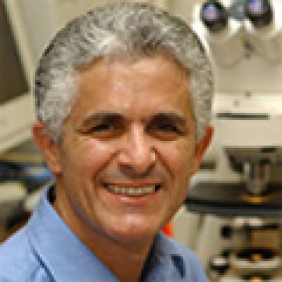 Menachem Elimelech, Yale University