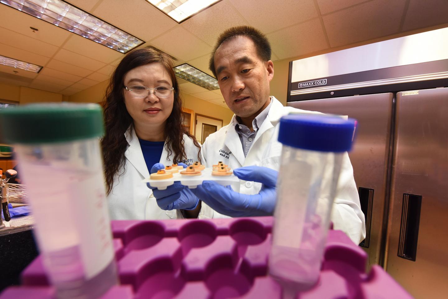 Hongfang Yu and Dr. Yutao Liu, Medical College of Georgia at Augusta University