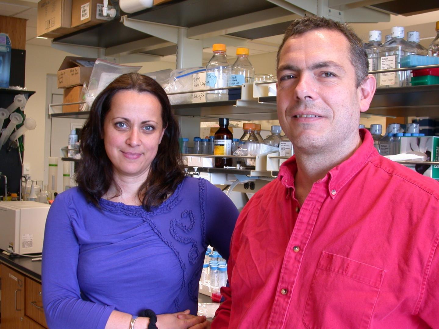 Hélene Cousin and Dominique Alfandari, University of Massachusetts at Amherst 