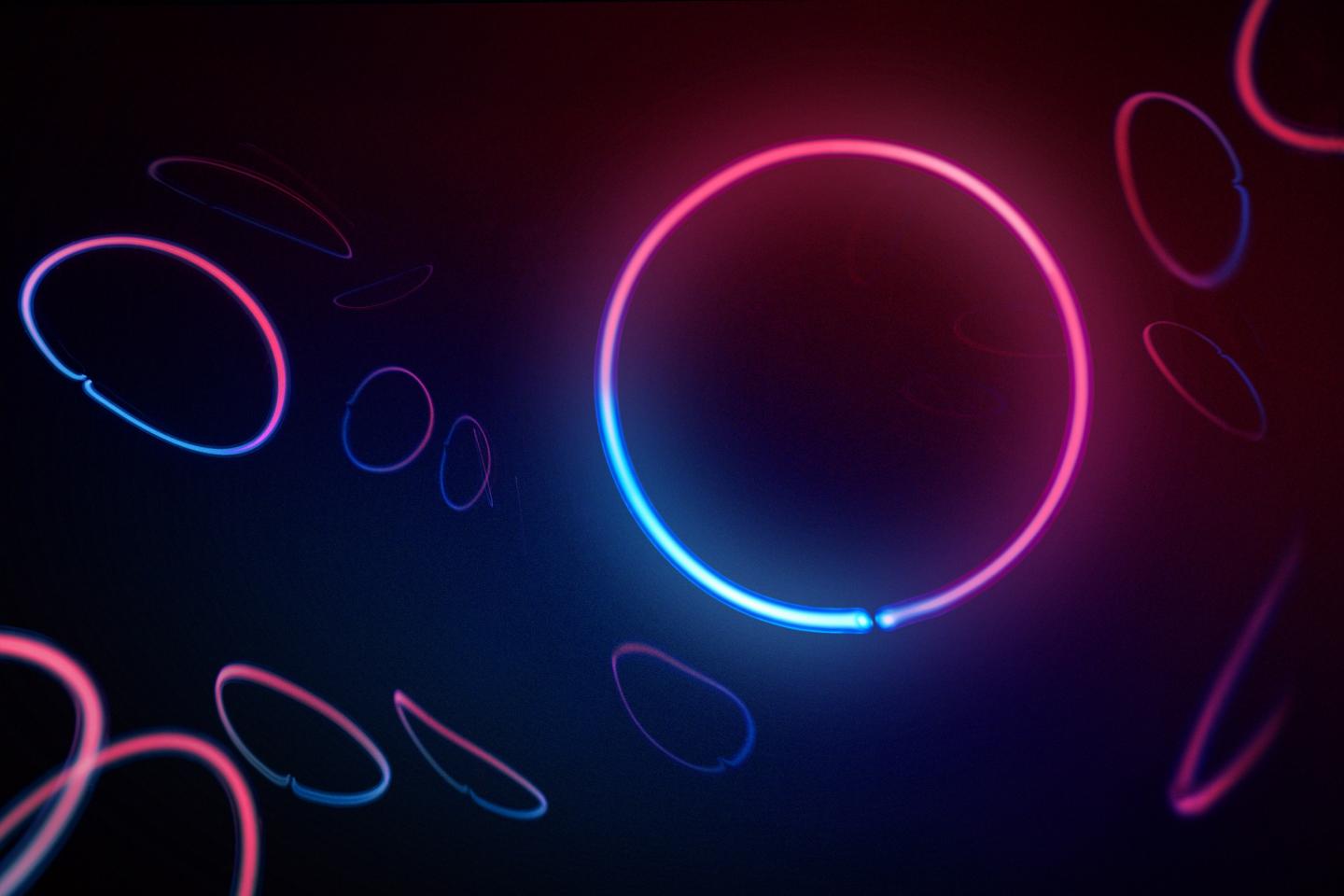 Circles in the Brain