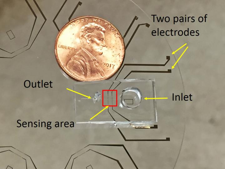 New Tool Portable Analyzes Microbes