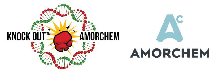 2019 AmorChem KNOCK OUT