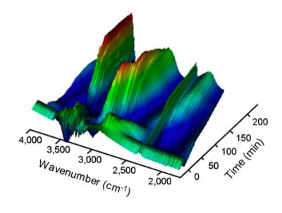 A Survivor's Tale Revealed for the First Time