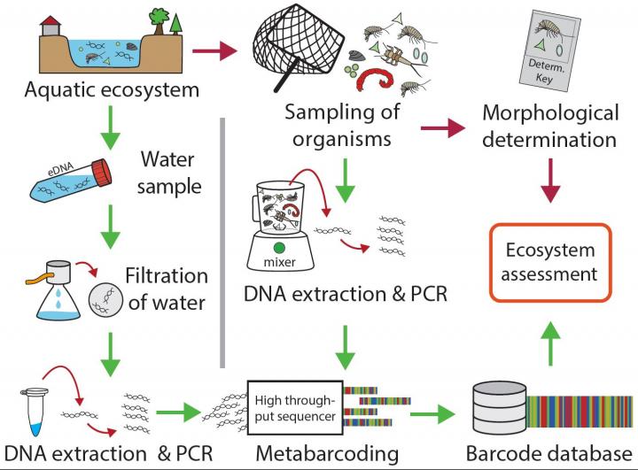 Comparison of Traditional and DNA-based Methods Used for Ecosystem Assessment