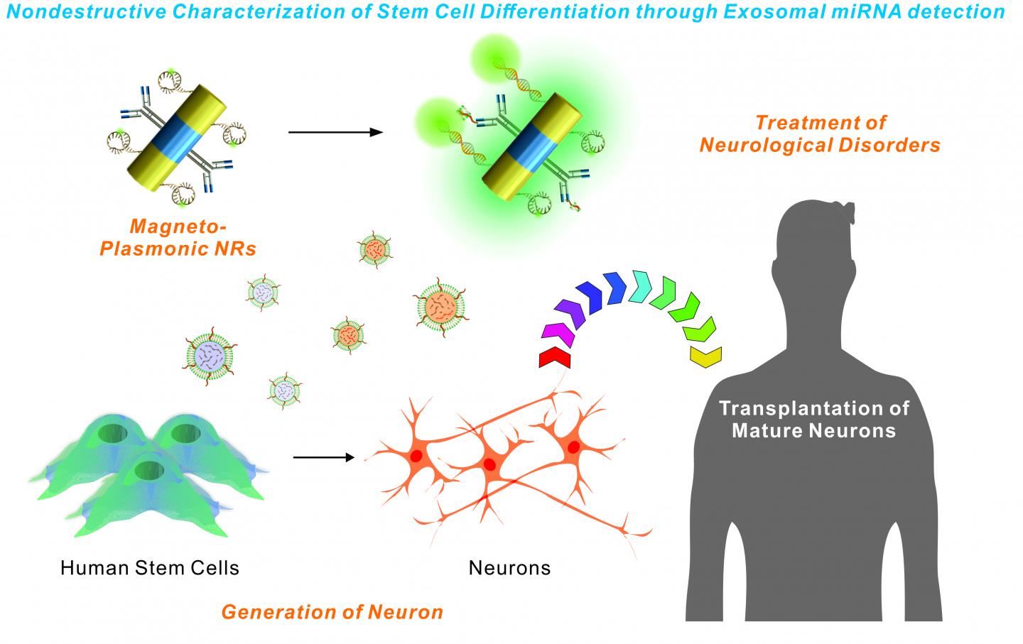 Nanotechnology for Stem Cells