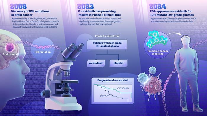 Bbrain cancer drug targets the IDH mutation