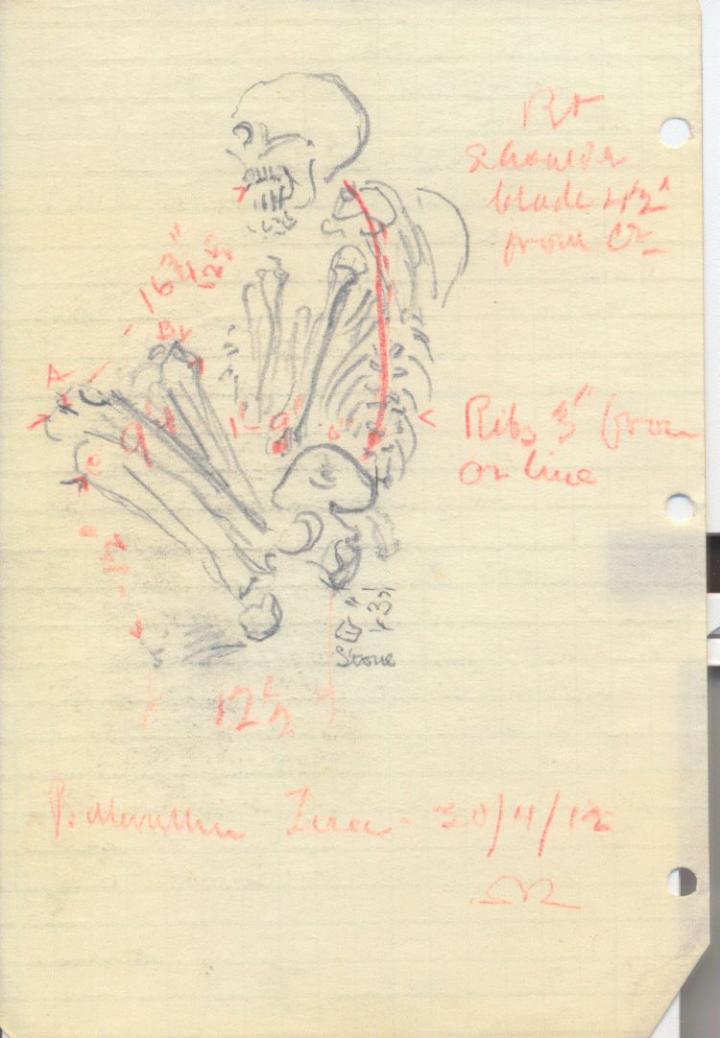 Sketch of Tiree skeleton