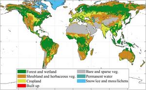 Global distribution of the land cover used in the analysis.