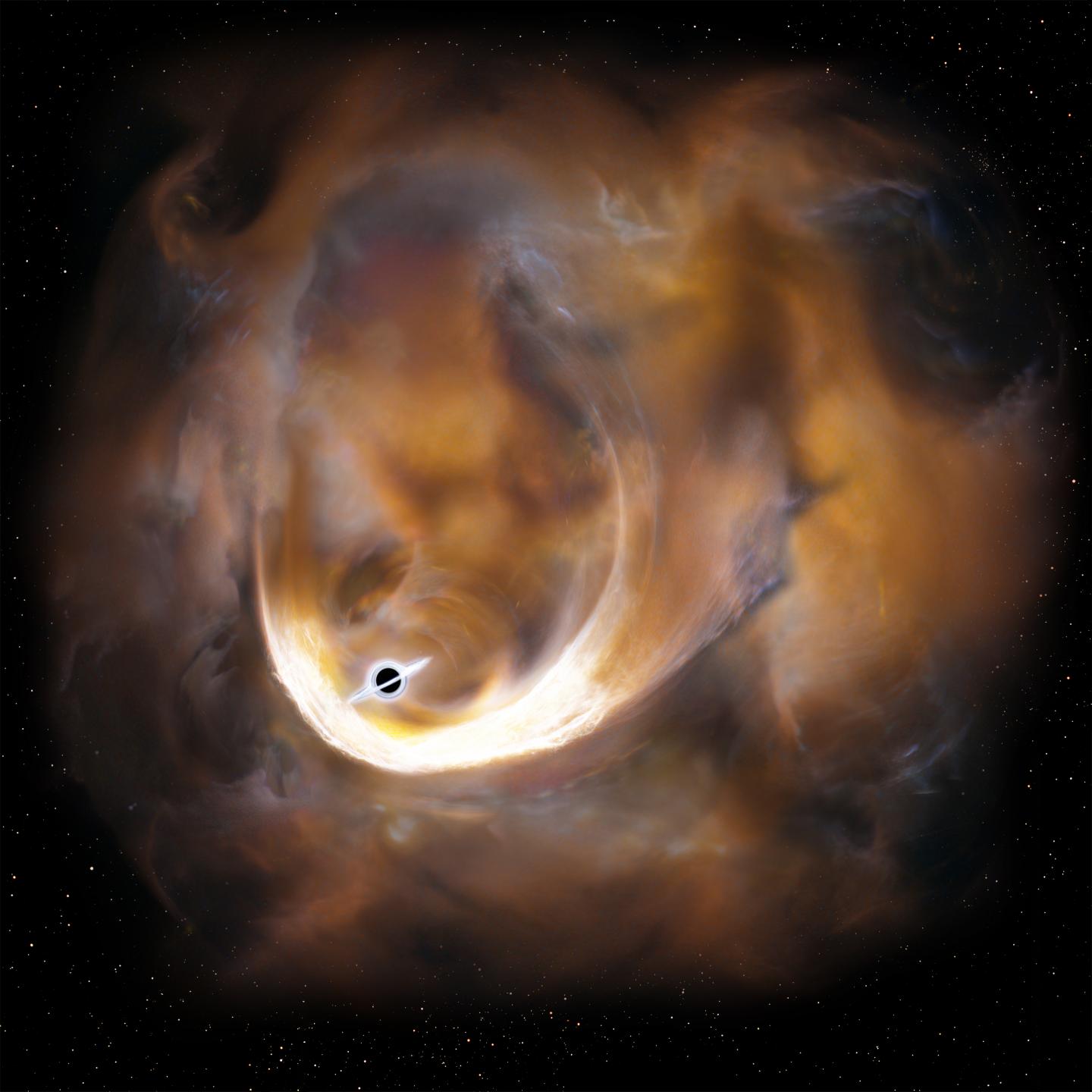 Artist's Impression of the Clouds Scattered by An Intermediate Mass Black Hole