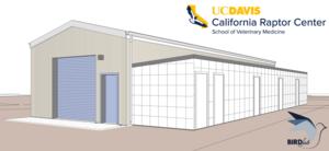 UC Davis Establishes Bird Flight Research Center