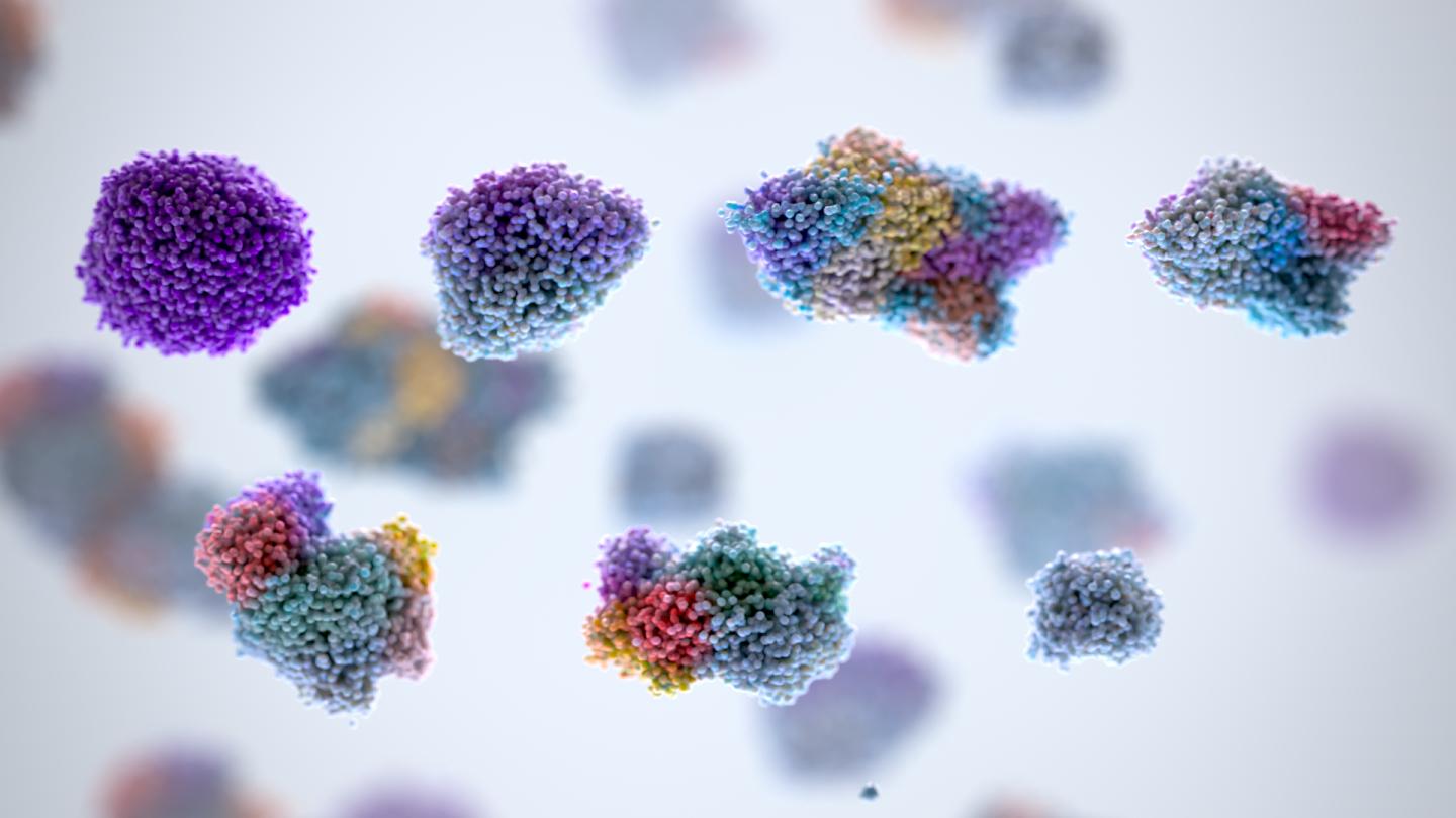 Kidney Cancer Subtypes