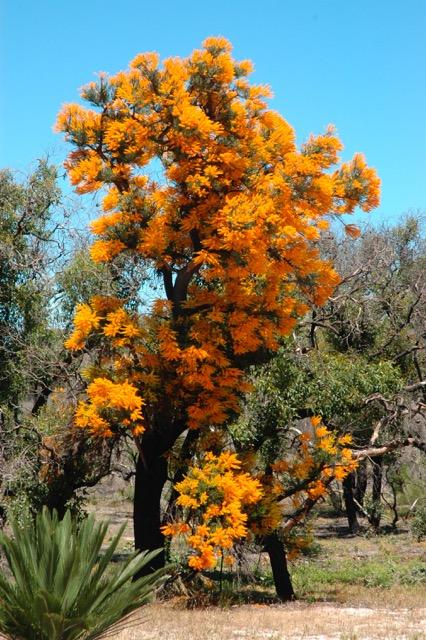 Don't Judge a Book -- or a Plant -- by Its Cover!