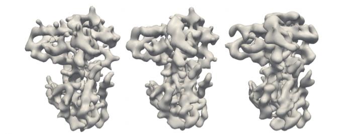 Figure 3 Original Retinoblastoma Protein