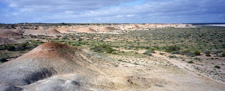 Fossil Outcrops in central Australia