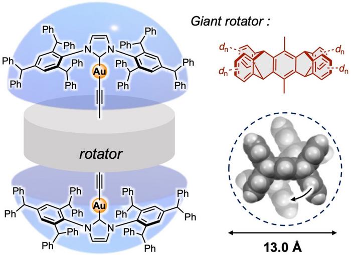 The giant molecular rotor