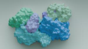 An image showing the molecular architecture of the specialised enzyme that allows microbes to consume toxic CO from the atmosphere.