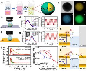 Optical excitation of hot carriers enables ultrafast dynamic control of nanoscale plasmons