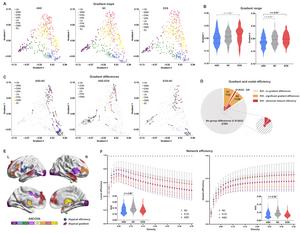 Functional gradient and network efficiency in individuals with early-onset schizophrenia, autism spectrum disorder, and normal controls.